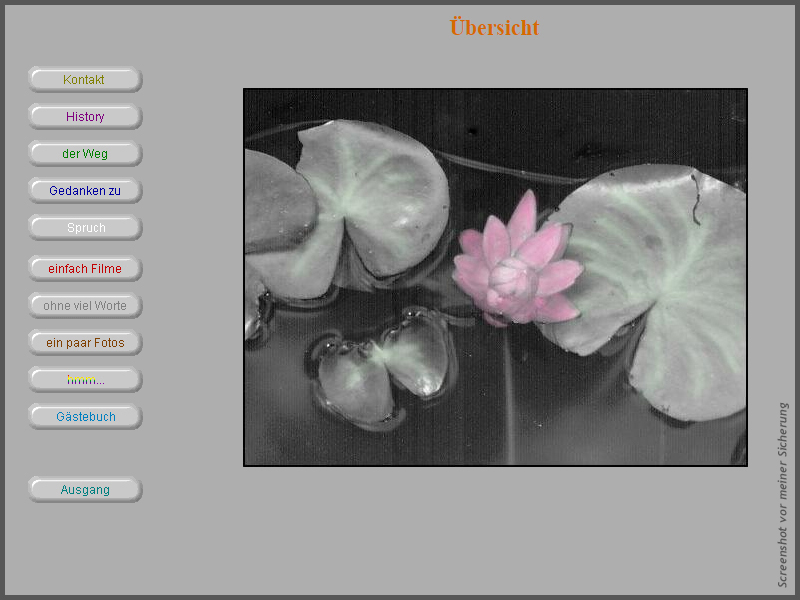 Ansicht der Originalseite